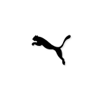 Puma Puma