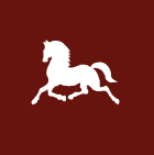 Stateline Tack Stateline Tack