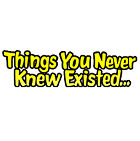 Things You Never Knew Existed Things You Never Knew Existed