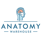 Anatomy Warehouse Anatomy Warehouse