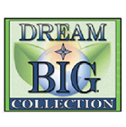 Dream Big Dream Big