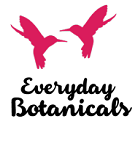 Everyday Botanicals Everyday Botanicals