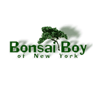 Bonsai Boy Bonsai Boy